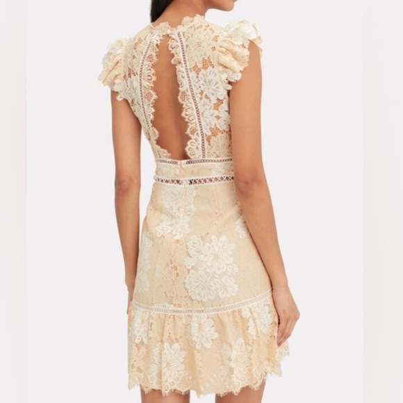 Saylor Kelly Lace Mini Dress - Picture 10 of 10